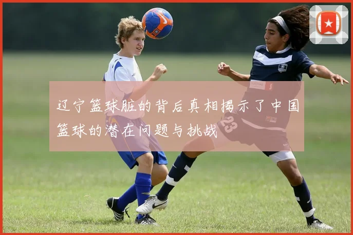 辽宁篮球脏的背后真相揭示了中国篮球的潜在问题与挑战