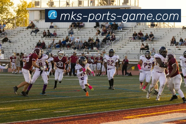 MKSPORT平台生态图